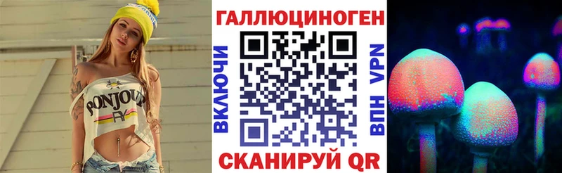 Псилоцибиновые грибы Psilocybe  Андреаполь 