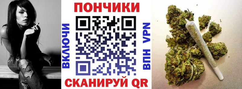 Канабис ГИДРОПОН блэк спрут вход Андреаполь